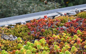 the cost of Upper Sydenham green roof installation
