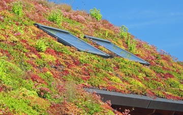 Upper Sydenham living roof systems